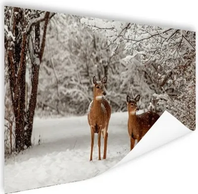 Produktbild von MuchoWow® Poster Hirsche - Schnee - Bäume 180x120 cm - Fotoplakat
