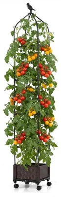 Produktbild von Hochbeet mit Obelisk-Rankgitter, selbstbewässernd