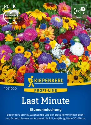 Produktbild von Kiepenkerl Blumensamen Last Minute 2 bis 4 m²
