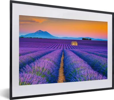 Produktbild von MuchoWow® Gerahmtes Poster Lavendel - Lila - Blumen 40x30 cm - Poster mit Schwarzem Bilderrahmen Wandposter Rahmen Foto Bilder - Bilderrahmen - Poster im Rahmen