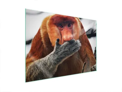 Produktbild von Glasschutzplatte Für Herd 70X52 Nosacz