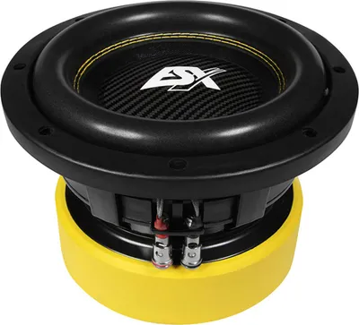 Image de ESX QUANTUM QXE8D2 Subwoofer compact 20 cm