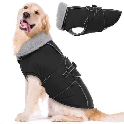Productafbeelding van Hondenjas voor Grote Honden - Waterdicht en Warm - Zwart - 2XL