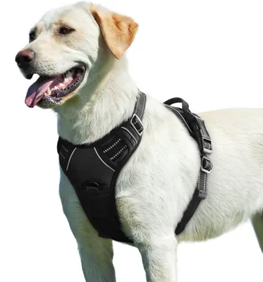 Imagen del producto de Arnés para perro sin tirones - Ajustable - Negro - Talla L - Para paseo y entrenamiento
