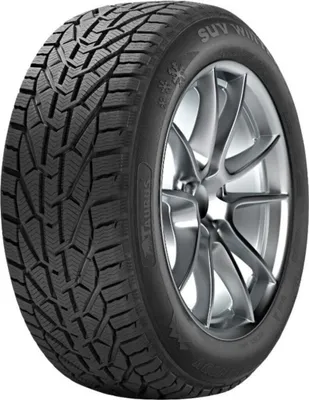 Produktbild von Reifen Tyre Taurus 205/55 R16 91H Winter