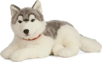 Obrázok produktu pre Plyšová hračka Living Nature Obrovský pes husky - veľký plyšák