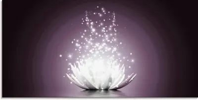 Produktbild von Vadim Georgiev: Magie der Lotus-Blume violett - Glasbild, Größe:50x100 cm / Glasbild