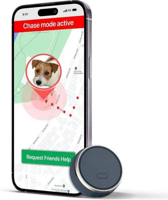 Immagine prodotto di Localizzatore GPS per gatti, localizzazione di animali domestici, piccolo ricevitore