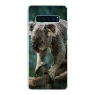 Produktbild von MuchoWow® Handyhülle Schutzhülle Hülle für Samsung Galaxy S10 Plus Koala - Baum - Klettern - Kinder - Jungen - Mädchen Silikon Softcase Handy Hülle - Schutzhülle
