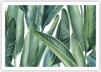Produktbild von Poster - Poster ohne Rahmen - Exotisch Blätter Grün - 100x70 cm - Wand Bild - Wanddeko - Wandbilder - Kunstposter - Wandposter - Bilder - Kunstdruck - Wanddekoration - Wandbild - P2XAA100x70-4258