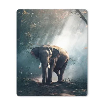 Produktbild von MuchoWow® Mauspad Mousepad Elefant - Tiere - Licht - Wald - Natur - Wildtiere 30x40 cm - Mousepads - Maus Mat - Pad - Mausunterlage - Mausmatten