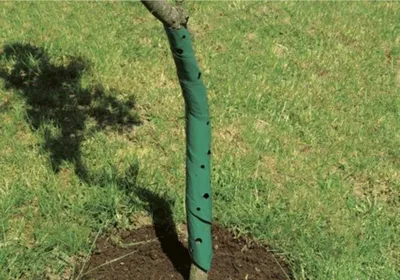 Produktbild von floraworld Baumschutzspirale 2er, 60 cm