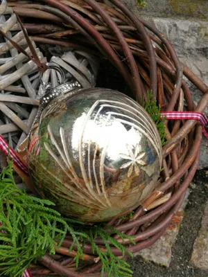Immagine prodotto di Stelle di Natale Amaranja, oro antico