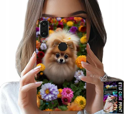 Immagine prodotto di Custodia Per Huawei Y7 2019 - Simpatico Cane, Custodia Pomeranian + Vetro
