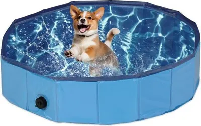 Produktbild von Blauer Hundepool