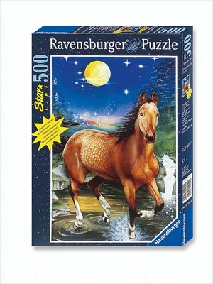 Produktbild von Starline Puzzle Erfrischung im Mondschein, 500 Teile