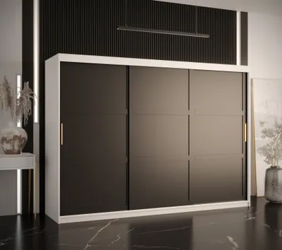 Produktbild von Kleiderschrank RAISA 1 – Breite 250 cm, weiß / schwarz