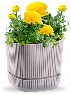 Produktbild von OMAGO Moderne Balkon-Blumentopf mit Untersetzer Grau