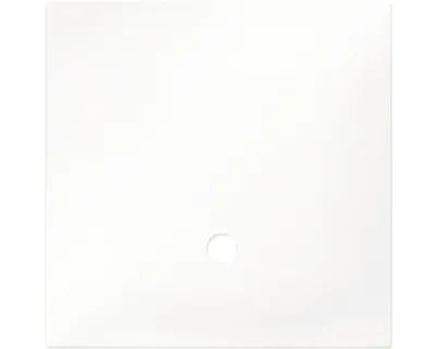 Image de Dennerle Disque de recouvrement Nano Cube, 10 litres - 18 x 18 cm - Disque de recouvrement avec trou de préhension