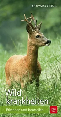 Produktbild von Wildkrankheiten
