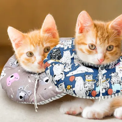 Produktbild von Weiches Halsband Schutzkragen für Katzen und Hunde