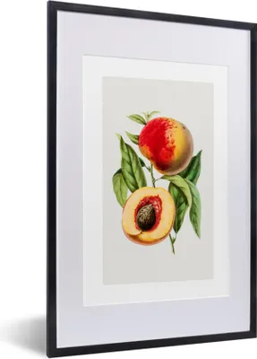 Produktbild von MuchoWow® Gerahmtes Poster Lebensmittel - Pfirsich - Obst 40x60 cm - Poster mit Schwarzem Bilderrahmen Wandposter Rahmen Foto Bilder - Poster in Rahmen