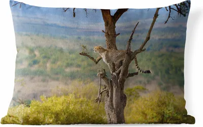 Produktbild von MuchoWow® Outdoor Kissen - Leopard - Baum - Tier - 50x30 cm - Wetterfest - Lounge Kissen - Sofa kissen - Wohnzimmer Dekoration