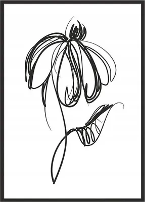 Produktbild von Bild Poster im Rahmen 53x73 cm Blume P1066