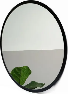 A round mirror with a black frame reflects a wall divided into two colors and a green leaf from a plant.