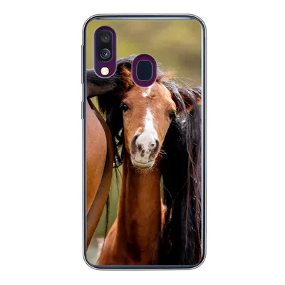 Produktbild von MuchoWow® Handyhülle Schutzhülle Hülle für Samsung Galaxy A40 Pferde - Natur - Braun Silikon Softcase Handy Hülle - Handy-Tasche