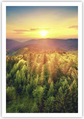 Produktbild von Poster - Poster ohne Rahmen - Berge Natur - 70x100 cm - Wand Bild - Wanddeko - Wandbilder - Kunstposter - Wandposter - Bilder - Kunstdruck - Wanddekoration - Wandbild - P2XPA70x100-3697