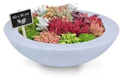 Produktbild von Pflanzschale aus Kunststoff, 60 cm, hellgrau, Blumenschale, Zierteich