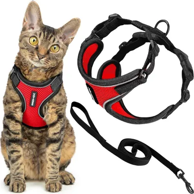 Produktbild von Voyager Ausbruchsicheres Katzengeschirr und Leine, Set mit reflektierenden Nähte