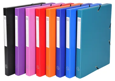 Immagine prodotto di Exacompta 59689E Confezione da 8 contenitori opachi, con elastico, per formato DIN A4, arancione