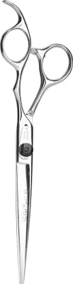 A pair of silver hair cutting scissors on a white background.