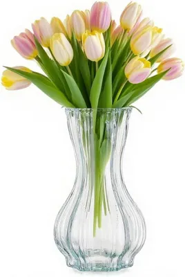 Image de Vase en verre moderne, de 19,8 cm de hauteur, transparent, idéal pour les tulipes