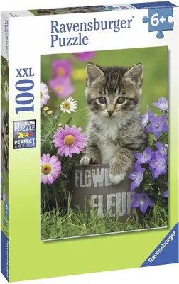 Produktbild von Ravensburger 4005556108473, 6 Jahr(e)