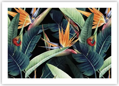 Produktbild von Poster - Poster ohne Rahmen - Pflanze Tropisch Blume - 70x50 cm - Wand Bild - Wanddeko - Wandbilder - Kunstposter - Wandposter - Bilder - Kunstdruck - Wanddekoration - Wandbild - P2XAA70x50-5093