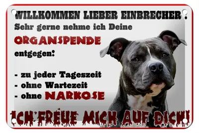Produktbild von Blechschild Hinweis 18x12cm Hund Willkommen Einbrecher