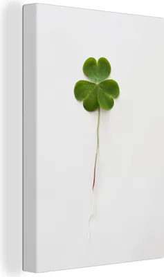 Obrázok produktu pre OneMillionCanvasses® - Obraz na plátne - 90x140 cm, Čtyřlístok na bielej, Nástenná umelecká tlač - Fotografia na plátne - Obraz na drevenom ráme - Dekorácia na stenu - Spálňa
