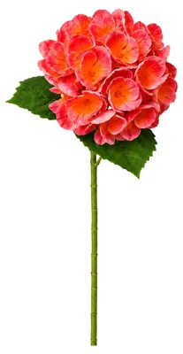 Produktbild von G.blümt Künstliche Hortensien 64 cm lang, Kunstblumen Real Touch wie echt, Orange 1 Stück
