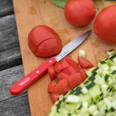 Image de Set de couteaux - Opinel OP01233 Bois de hêtre - Acier inoxydable - Couteaux de cuisine - Multicolore - 4 pièces