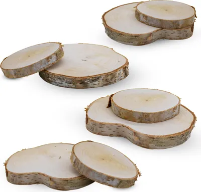Produktbild von Echtholz Birken Astscheibe 7-12 cm natur - 8er Pack - Birkenholz Baumscheibe zum Basteln und Dekorieren