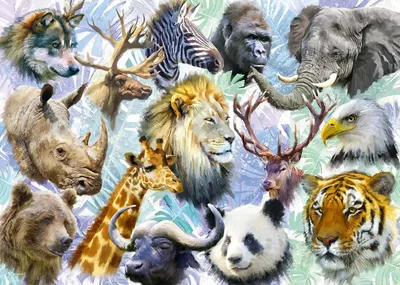 Productafbeelding van Alipson Puzzel: Dierfiguren - 500 stukjes. Een leuke dierenvormige puzzel