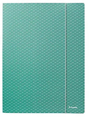 Produktbild von Esselte 628493, Klappenordner, A4, Karton, Grün, Porträt, 150 Blätter