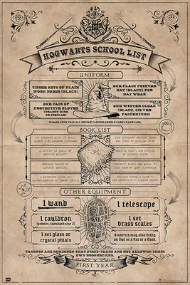 Zdjęcie produktu dla Harry Potter Plakat Hogwarts School List House Rules 91,5 x 61 cm