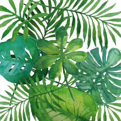 Produktbild von Servietten 33x33 cm - Feuilles Tropicales