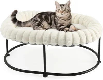 Image de Lit pour chat surélevé, dimensions 58,5 x 43 x 21 cm, structure en métal, coussin épais, housse lavable, pour intérieur