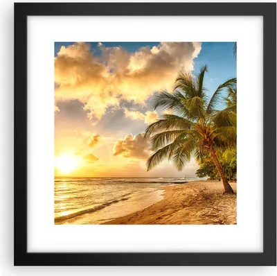 Produktbild von Gerahmtes Poster - Schwarzer Rahmen - Strand Meer Palme - 30x30 cm - Wand Bild - Wanddeko - Wandbilder - Kunstposter - Wandposter - Bilderrahmen - Bilder - Kunstdruck - Wandbild - P2BAC30x30-3606