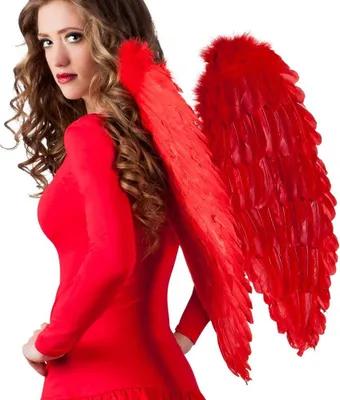 Produktbild von Federflügel rot 65cm - Karneval Faschingskostüm